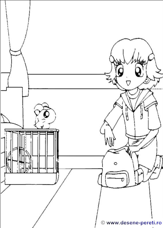 hamtaro desene colorat